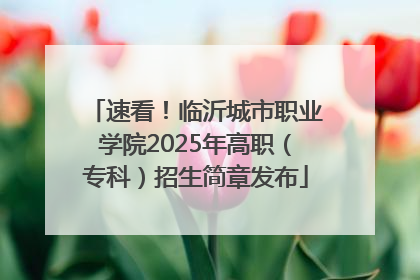 速看！临沂城市职业学院2025年高职（专科）招生简章发布