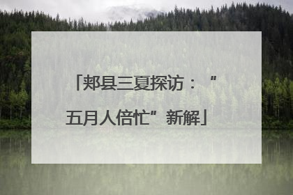 郏县三夏探访：“五月人倍忙”新解
