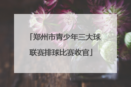 郑州市青少年三大球联赛排球比赛收官