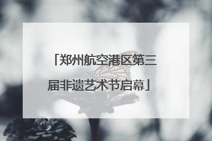 郑州航空港区第三届非遗艺术节启幕