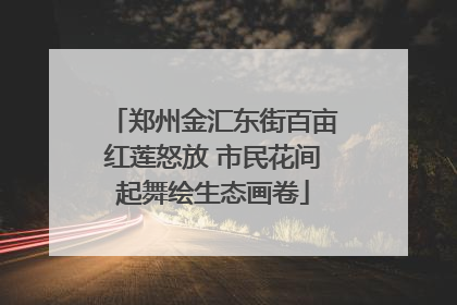 郑州金汇东街百亩红莲怒放 市民花间起舞绘生态画卷