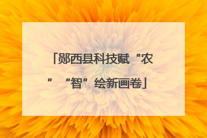 郧西县科技赋“农”“智”绘新画卷