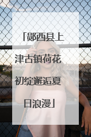 郧西县上津古镇荷花初绽邂逅夏日浪漫