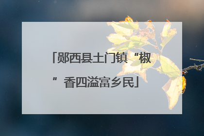 郧西县土门镇“椒”香四溢富乡民