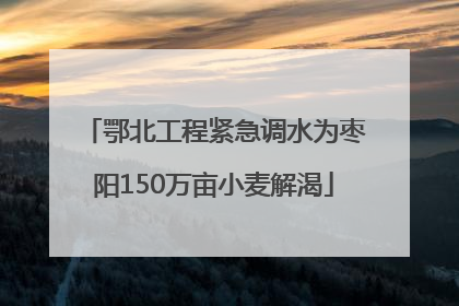 鄂北工程紧急调水为枣阳150万亩小麦解渴