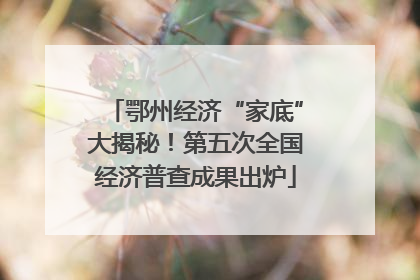 鄂州经济“家底”大揭秘！第五次全国经济普查成果出炉