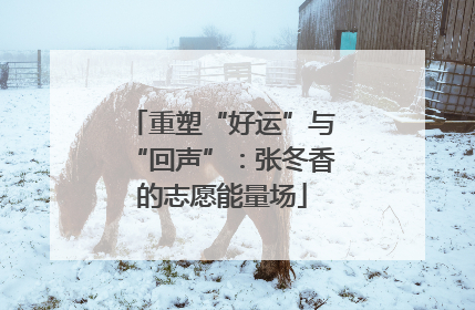 重塑“好运”与“回声”：张冬香的志愿能量场