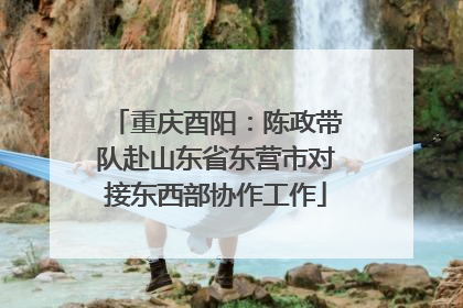 重庆酉阳：陈政带队赴山东省东营市对接东西部协作工作