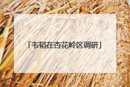 韦韬在杏花岭区调研