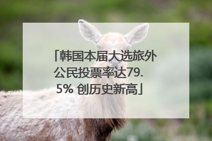 韩国本届大选旅外公民投票率达79.5% 创历史新高