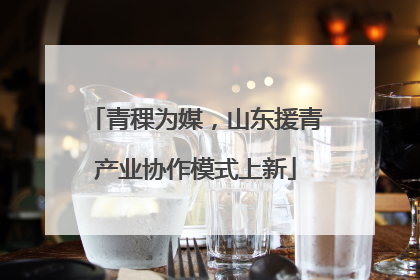 青稞为媒，山东援青产业协作模式上新