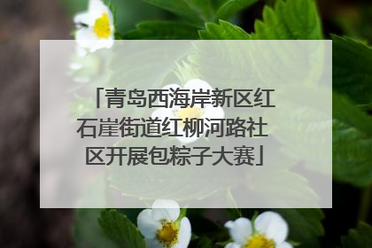 青岛西海岸新区红石崖街道红柳河路社区开展包粽子大赛
