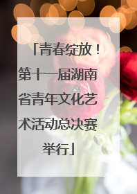 青春绽放！第十一届湖南省青年文化艺术活动总决赛举行