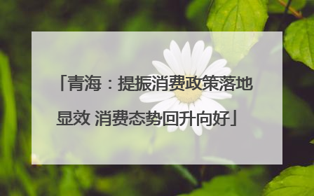 青海：提振消费政策落地显效 消费态势回升向好