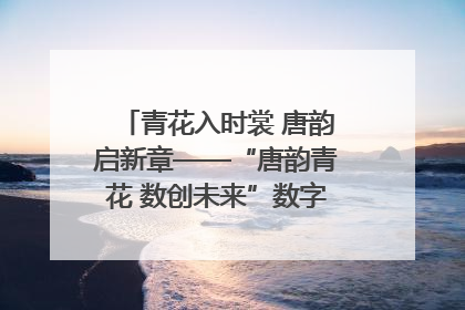 青花入时裳 唐韵启新章——“唐韵青花 数创未来”数字文创设计大赛启幕