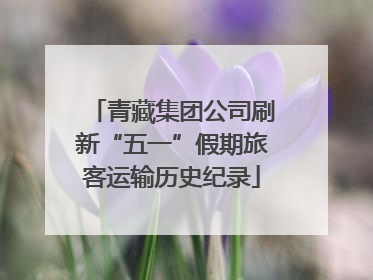 青藏集团公司刷新“五一”假期旅客运输历史纪录