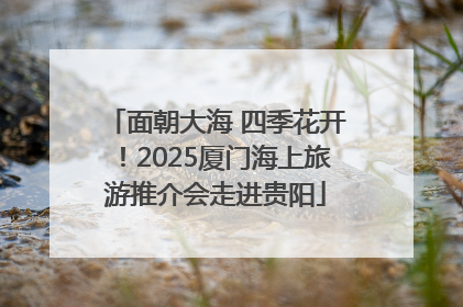 面朝大海 四季花开！2025厦门海上旅游推介会走进贵阳