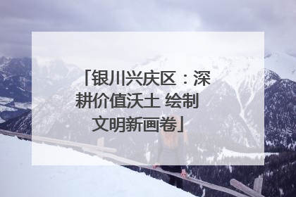 银川兴庆区：深耕价值沃土 绘制文明新画卷