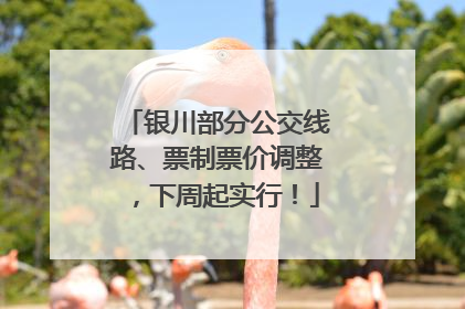 银川部分公交线路、票制票价调整，下周起实行！