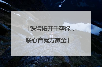铁臂拓开千垄绿，联心育就万家金
