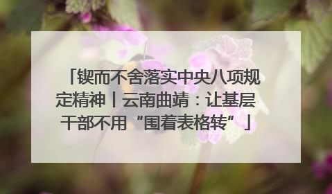 锲而不舍落实中央八项规定精神丨云南曲靖：让基层干部不用“围着表格转”