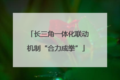 长三角一体化联动机制“合力成拳”