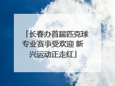 长春办首届匹克球专业赛事受欢迎 新兴运动正走红