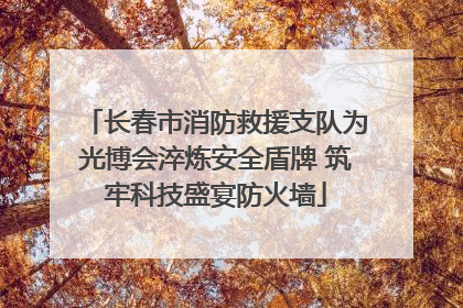 长春市消防救援支队为光博会淬炼安全盾牌 筑牢科技盛宴防火墙