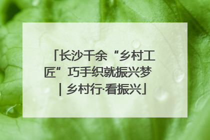 长沙千余“乡村工匠”巧手织就振兴梦｜乡村行·看振兴
