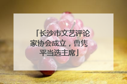 长沙市文艺评论家协会成立，曹隽平当选主席