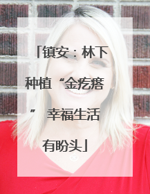镇安：林下种植“金疙瘩” 幸福生活有盼头