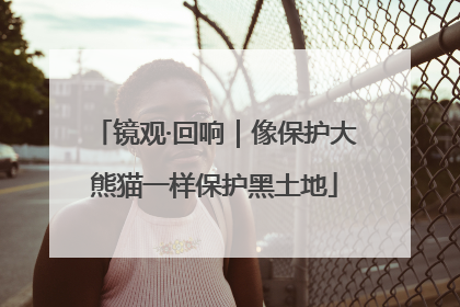 镜观·回响｜像保护大熊猫一样保护黑土地