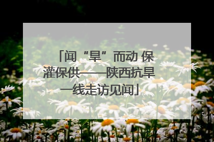闻“旱”而动 保灌保供——陕西抗旱一线走访见闻