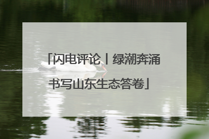 闪电评论丨绿潮奔涌 书写山东生态答卷