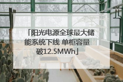 阳光电源全球最大储能系统下线 单柜容量破12.5MWh