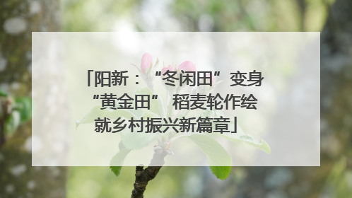 阳新：“冬闲田”变身“黄金田” 稻麦轮作绘就乡村振兴新篇章