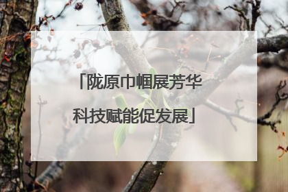 陇原巾帼展芳华 科技赋能促发展