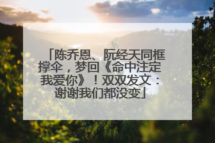 陈乔恩、阮经天同框撑伞，梦回《命中注定我爱你》！双双发文：谢谢我们都没变