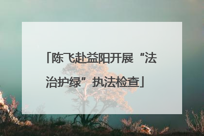 陈飞赴益阳开展“法治护绿”执法检查