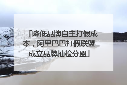 降低品牌自主打假成本，阿里巴巴打假联盟成立品牌抽检分盟