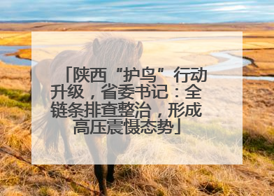 陕西“护鸟”行动升级，省委书记：全链条排查整治，形成高压震慑态势