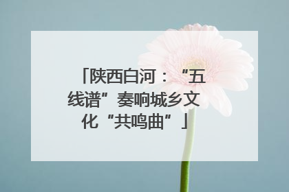 陕西白河：“五线谱”奏响城乡文化“共鸣曲”