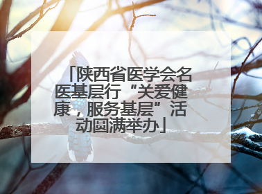 陕西省医学会名医基层行“关爱健康，服务基层”活动圆满举办