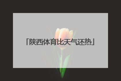 陕西体育比天气还热