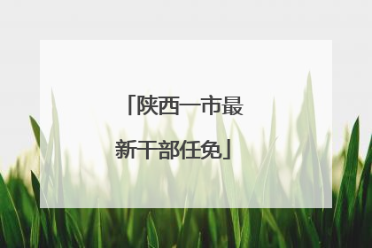 陕西一市最新干部任免