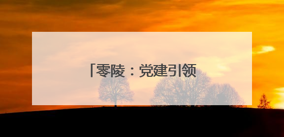 零陵：党建引领 做强蔬菜产业