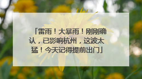 雷雨！大暴雨！刚刚确认，已影响杭州，这波太猛！今天记得提前出门