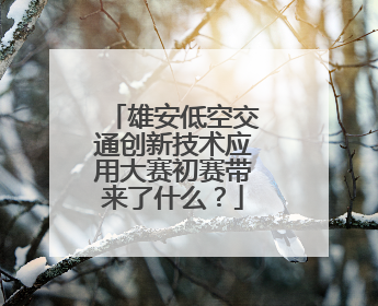 雄安低空交通创新技术应用大赛初赛带来了什么？