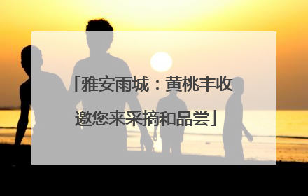 雅安雨城：黄桃丰收 邀您来采摘和品尝