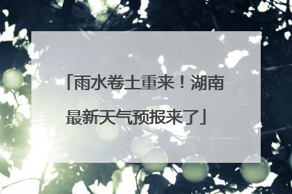 雨水卷土重来！湖南最新天气预报来了